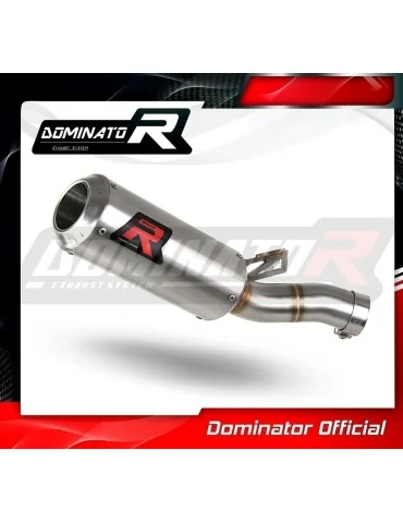 Silencieux slip-on Dominator GP pour BMW F900R (2020-2026)