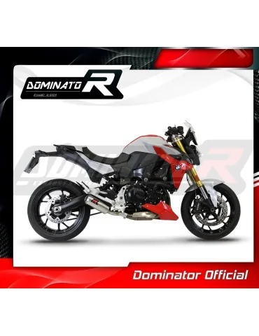 Silencieux slip-on Dominator GP pour BMW F900R (2020-2026)