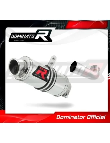 Silencieux slip-on Dominator GP1 pour KTM RC 125 (2017-2020)
