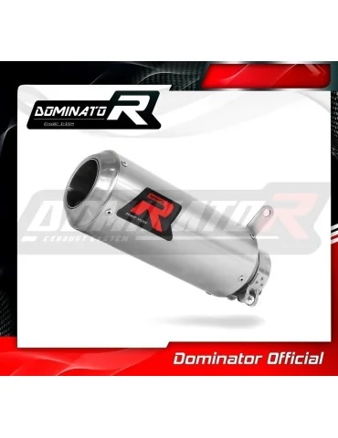 Silencieux slip-on homologué Dominator GP pour BMW S1000RR (2009-2011)