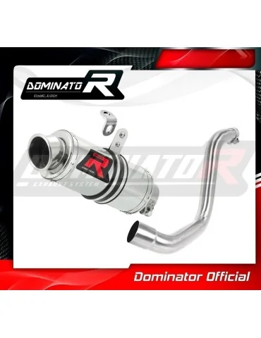 Silencieux slip-on Dominator GP1 pour KTM 200 Duke (2011-2016)