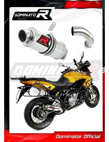 Silencieux slip-on Dominator GP1 pour Aprilia ETV 1200 Caponord (2013-2016)