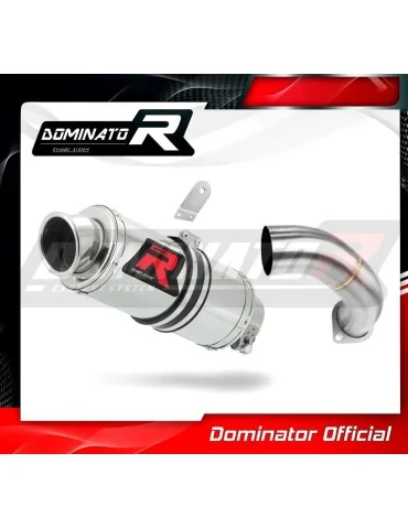 Silencieux slip-on Dominator GP1 pour Aprilia ETV 1200 Caponord (2013-2016)