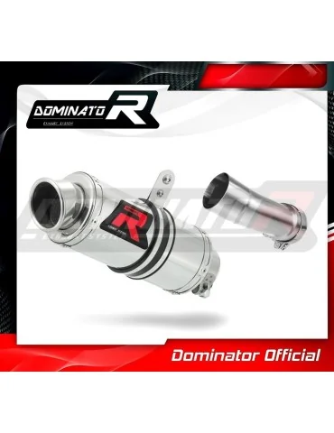 Silencieux slip-on Dominator GP1 pour BMW R1200RS (2015-2018)