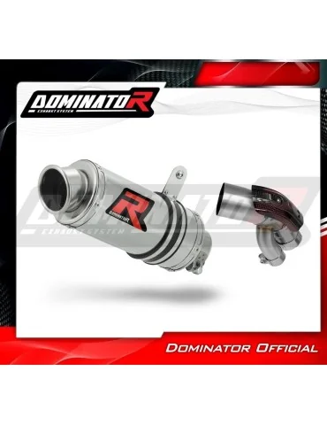 Silencieux slip-on homologué Dominator GP1 pour BMW S1000XR (2015-2019)