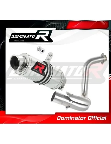 Silencieux slip-on Dominator GP1 pour BMW G310GS (2016-2024)