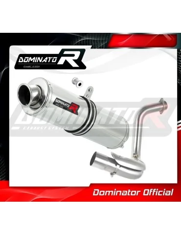 Silencieux slip-on Dominator ST pour BMW G310GS (2016-2024)