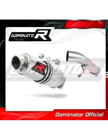 Silencieux slip-on Dominator GP1 pour Suzuki GSX 1250 FA (2010-2016)