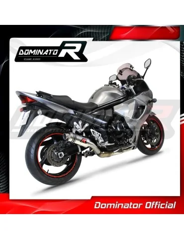 Silencieux slip-on Dominator GP1 pour Suzuki GSX 1250 FA (2010-2016)