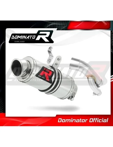 Silencieux slip-on homologué Dominator GP1 pour BMW S1000RR (2017-2018)