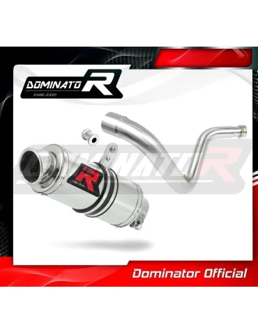 Silencieux slip-on Dominator GP1 pour BMW G310R (2016-2022)