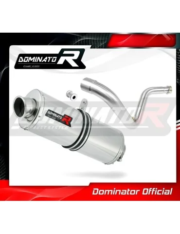 Silencieux slip-on Dominator OV pour BMW G310R (2016-2022)