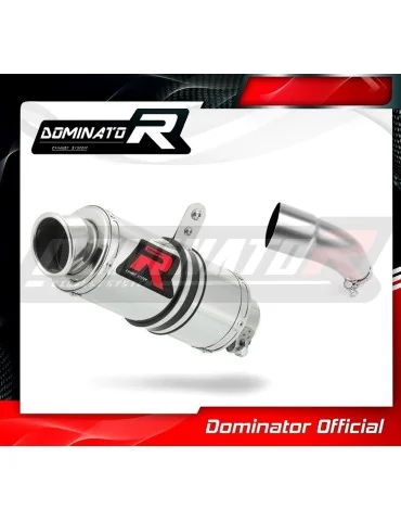 Silencieux slip-on Dominator GP1 pour Yamaha YZF R3 (2015-2018)