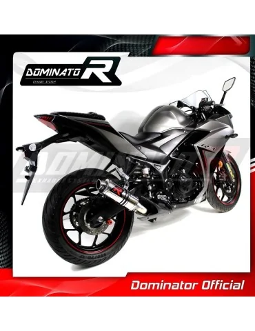 Silencieux slip-on Dominator GP1 pour Yamaha YZF R3 (2015-2018)