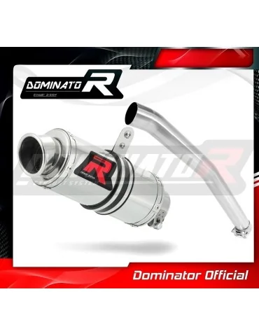 Silencieux slip-on Dominator GP1 pour Yamaha YZF R6 (1999-2002)