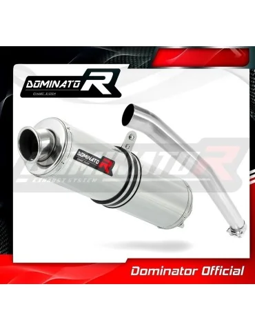 Silencieux slip-on Dominator ST pour Yamaha YZF R6 (1999-2002)