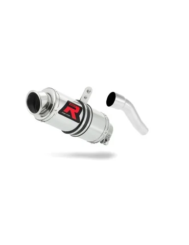 Silencieux slip-on Dominator GP1 pour Yamaha TZR 125