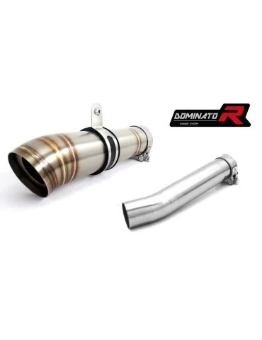 Silencieux slip-on Dominator GP2 pour Yamaha FZS Fazer 600 (1998-2003)
