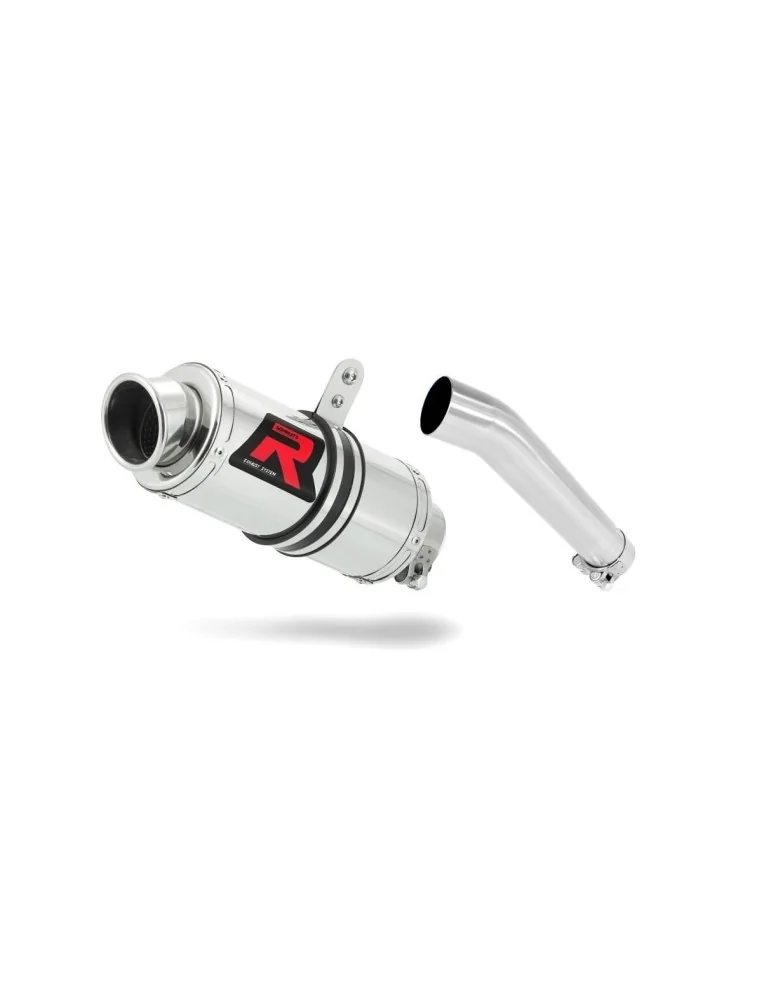 Silencieux slip-on Dominator GP1 pour Yamaha FZS Fazer 600 (1998-2003)