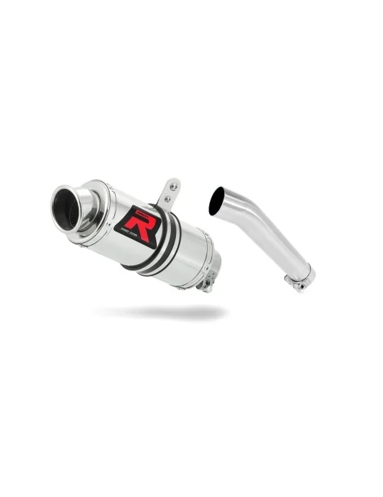 Silencieux slip-on Dominator GP1 pour Yamaha FZS Fazer 600 (1998-2003)