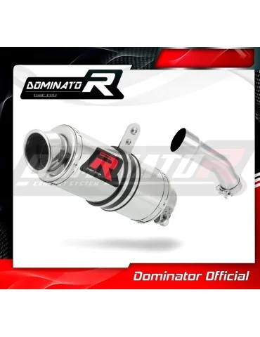 Silencieux slip-on Dominator GP1 pour Yamaha FZR 600 (1988-1993)