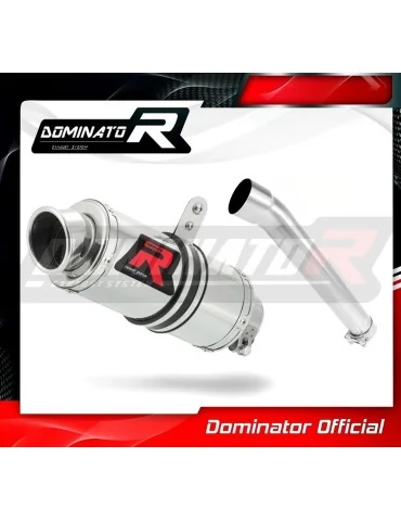 Silencieux slip-on Dominator GP1 pour Yamaha FZR 1000 (1991-1994)