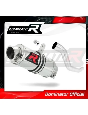 Silencieux slip-on Dominator GP1 pour Suzuki XF 650 Freewind (1997-2003)