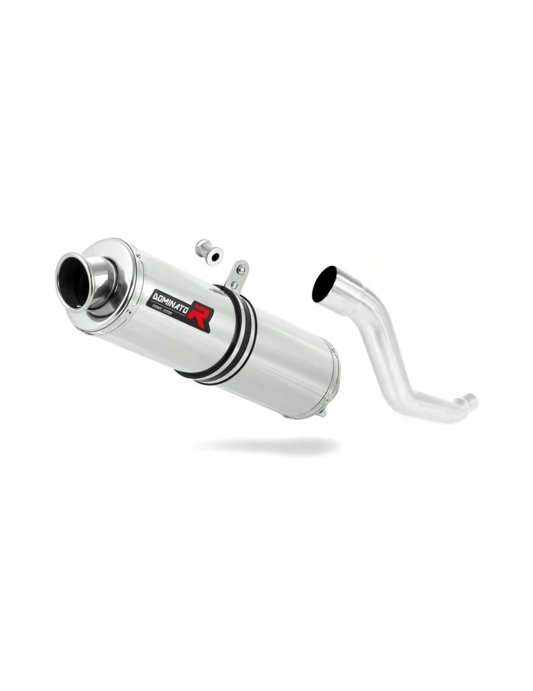 Silencieux slip-on Dominator ST pour Suzuki XF 650 Freewind (1997-2003)
