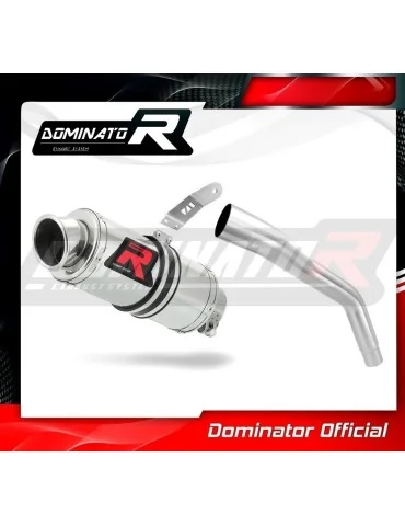 Silencieux slip-on Dominator GP1 pour Triumph Tiger 800 XC XR (2011-2014)