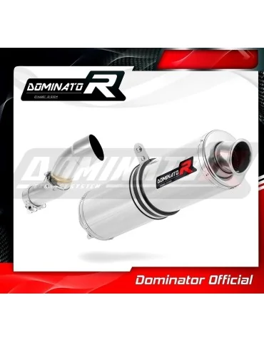 Silencieux slip-on Dominator ST pour KTM 690 SMC (2008-2011)