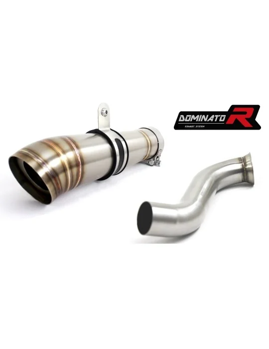 Silencieux slip-on Dominator GP2 pour KTM 690 Duke (2012-2018)