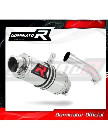 Silencieux slip-on Dominator GP1 pour Kawasaki ZX10R (2004-2005)