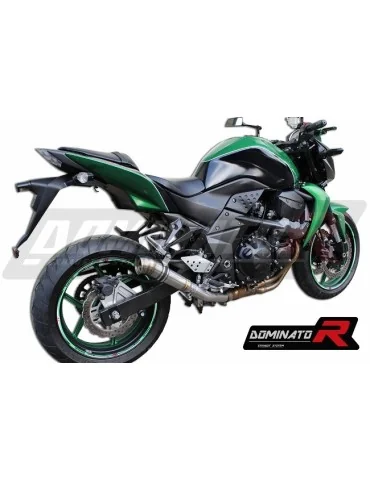 Silencieux slip-on Dominator GP2 pour Kawasaki Z750 (2007-2012)
