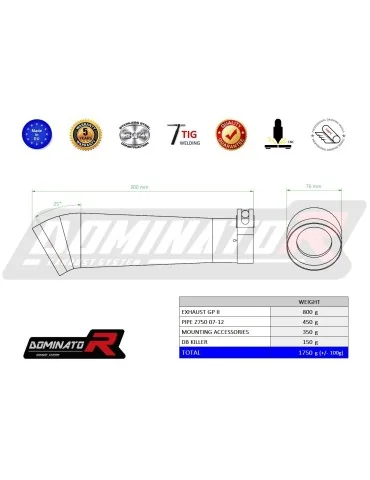 Silencieux slip-on Dominator GP2 pour Kawasaki Z750 (2007-2012)