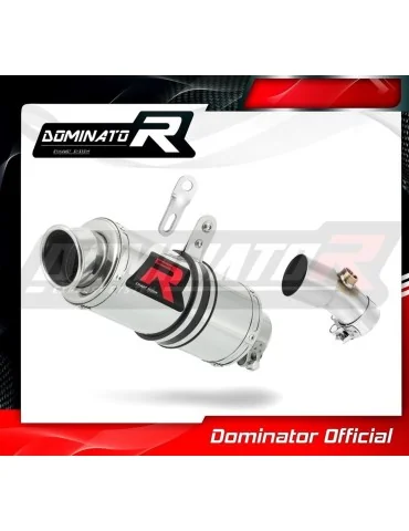 Silencieux slip-on Dominator GP1 pour Kawasaki KLE 650 Versys (2006-2014)
