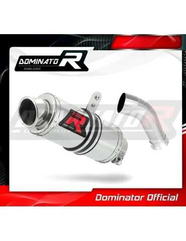 Silencieux slip-on Dominator GP1 pour Honda VFR 750 (1993-1997)