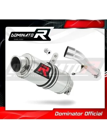 Silencieux slip-on Dominator GP1 pour Honda CBF 500 (2006-2008)