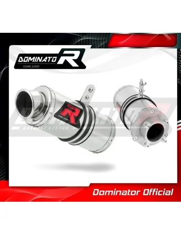Silencieux bolt-on Dominator GP1 pour Honda CBF 250 (2004-2006)