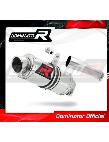 Silencieux slip-on Dominator GP1 pour Honda CBF 1000 (2010-2013)