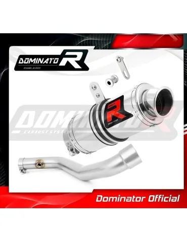Silencieux slip-on Dominator GP1 pour BMW R850R - (2003)