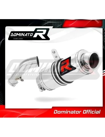 Silencieux slip-on Dominator GP1 pour BMW R1200ST (2004-2009)
