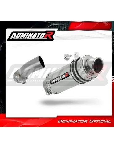 Silencieux slip-on Dominator GP1 pour BMW R1200R (2010-2014)