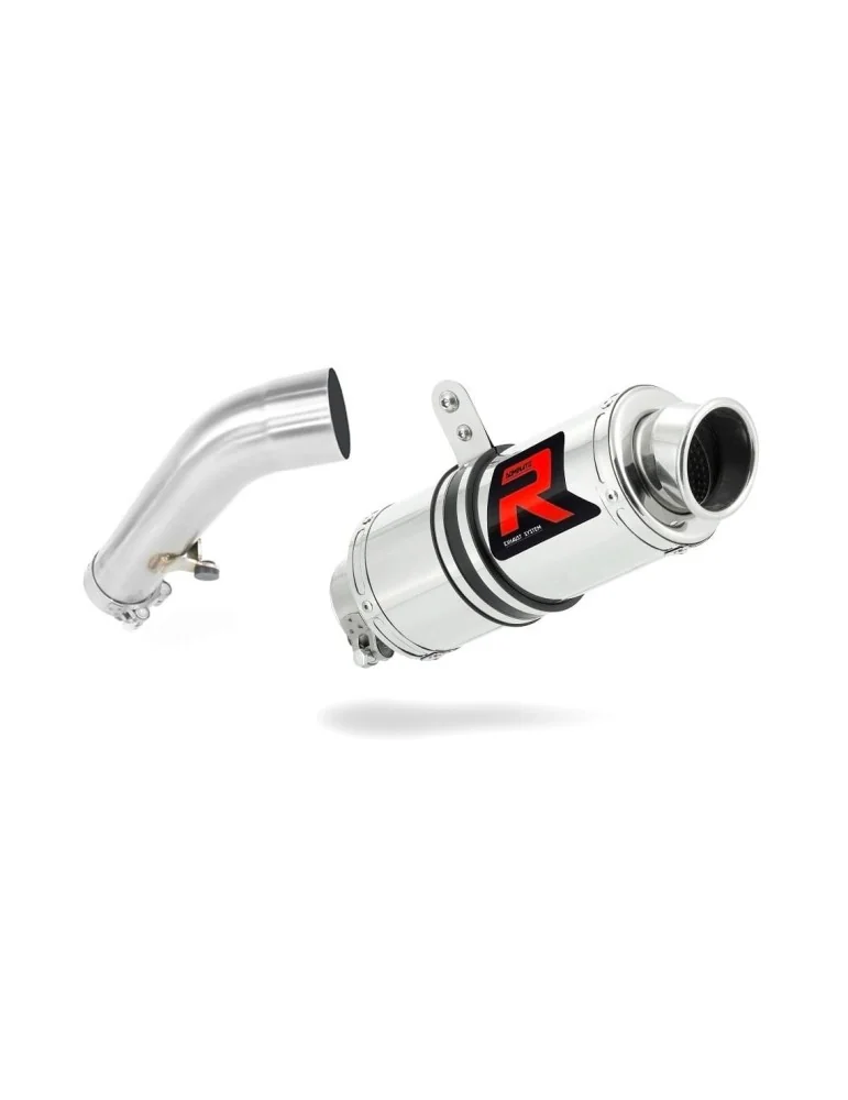 Silencieux slip-on Dominator GP1 pour BMW R1200R (2006-2009)