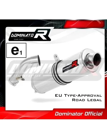Silencieux slip-on homologué Dominator ROND pour BMW R1200R (2006-2009)