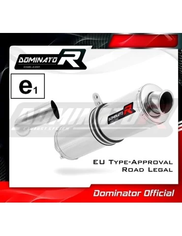 Silencieux slip-on homologué Dominator ROND pour BMW F800S (2006-2012)
