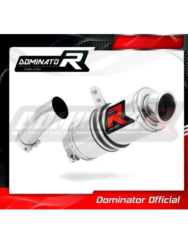Silencieux slip-on Dominator GP1 pour BMW F800R (2009-2019)