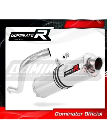 Silencieux slip-on Dominator ST pour BMW F650 Funduro
