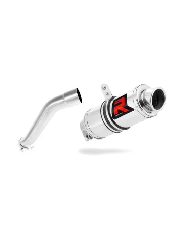 Silencieux slip-on Dominator GP1 pour BMW F650 CS (2002-2005)