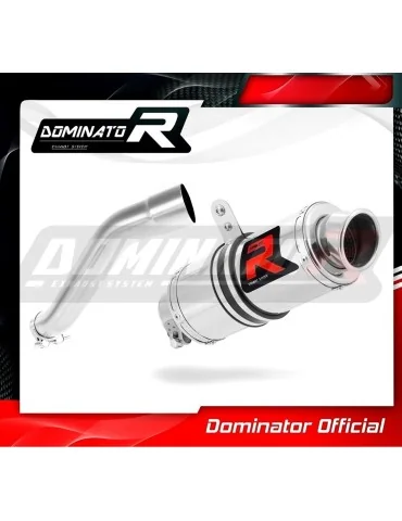 Silencieux slip-on Dominator GP1 pour BMW F650 CS (2002-2005)