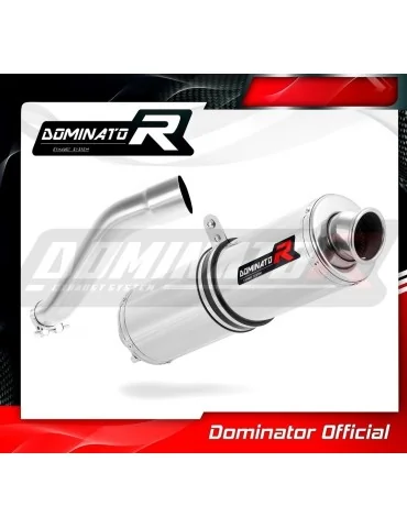 Silencieux slip-on Dominator ST pour BMW F650 CS (2002-2005)